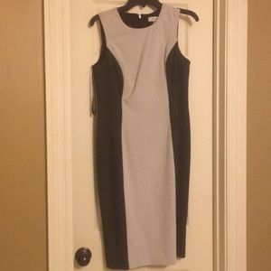 Calvin Klein Dress